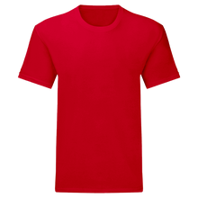 Load image into Gallery viewer, (PFS) Adult Softstyle T-Shirt
